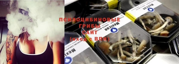 соль ск Елабуга