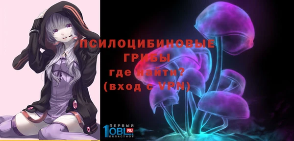 эйфоретик Заводоуковск