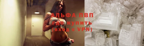 прущая мука Ельня