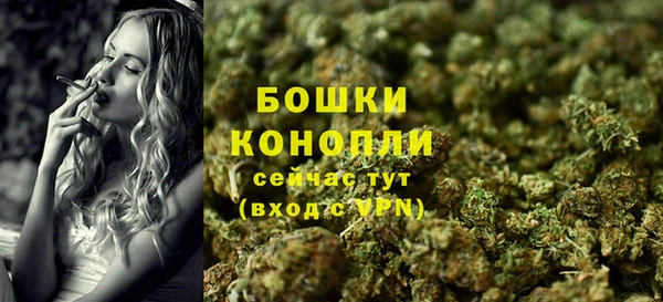 соль ск Елабуга