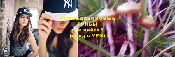 трава Елизово