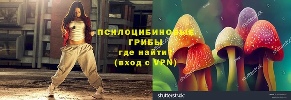 соль ск Елабуга