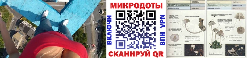 купить   Хасавюрт  Псилоцибиновые грибы Psilocybine cubensis 