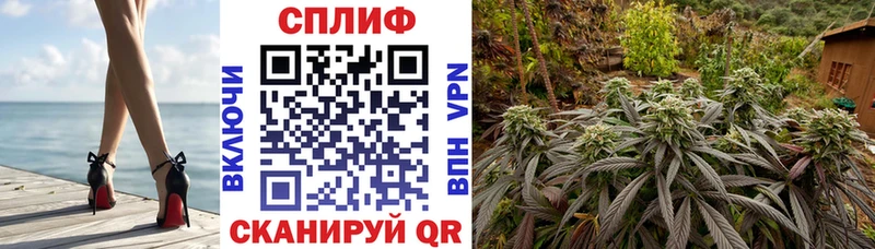 Бошки марихуана сатива Хасавюрт