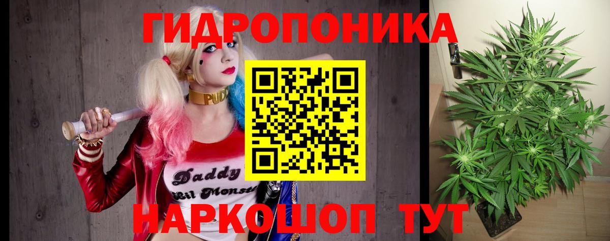 МАРИХУАНА план  МАРИХУАНА ГИДРОПОН  Шишки марихуана марихуана  Вход с VPN  Хасавюрт 